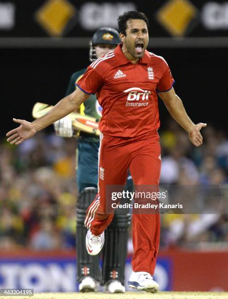 Ravi Bopara of England celebrates after taking the wicket of Mitchell Johnson of Australia during the second game of the One Day International Series...