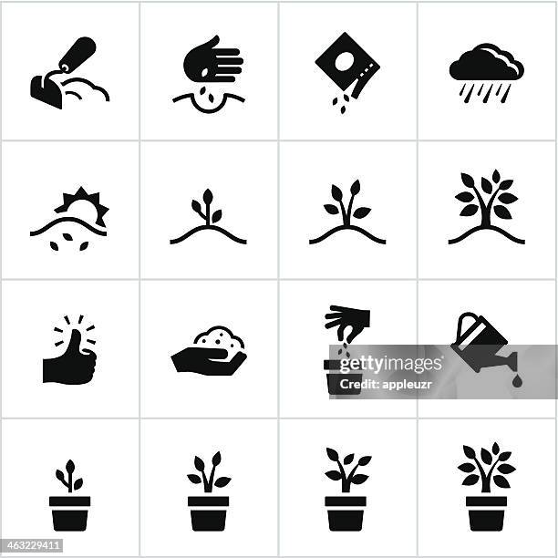 illustrations, cliparts, dessins animés et icônes de processus de développement icônes noir - cache pot