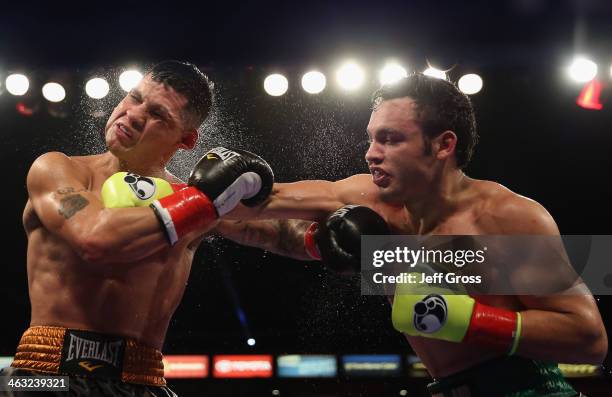 Julio Cesar Chavez Jr. Lands a right hand to the head of Brian Vera during their Light Heavyweight bout at StubHub Center on September 28, 2013 in...