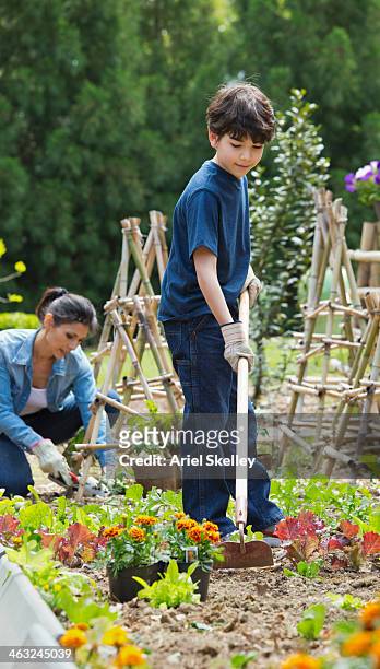hispanic mother and son gardening - garden hoe stock pictures, royalty-free photos & images