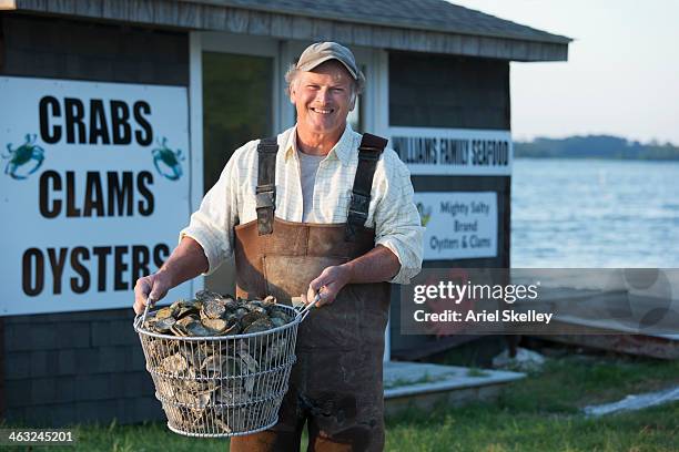 caucasian fisherman holding basket of oysters - clam seafood stock-fotos und bilder