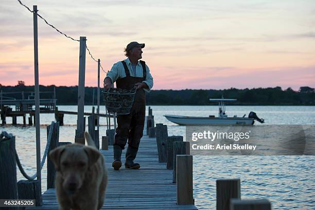 caucasian fisherman carrying catch on wooden pier - fisherman stock pictures, royalty-free photos & images