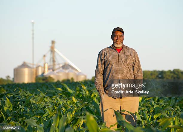 black farmer standing in crop field - african ethnicity farmer stock pictures, royalty-free photos & images