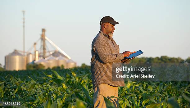 black farmer with digital tablet in crop field - african ethnicity farmer stock pictures, royalty-free photos & images