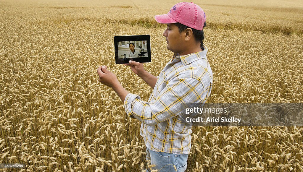 Hispanic farmer with digital tablet in crop field