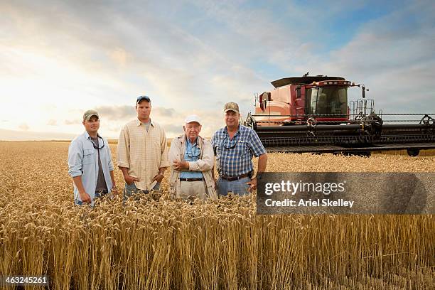 three generations of caucasian farmers in wheat field - virginia amerikaanse staat stockfoto's en -beelden