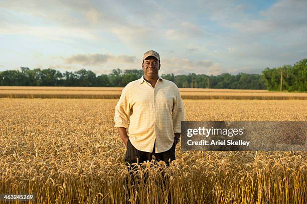 black farmer standing in wheat field - african american farmer stockfoto's en -beelden
