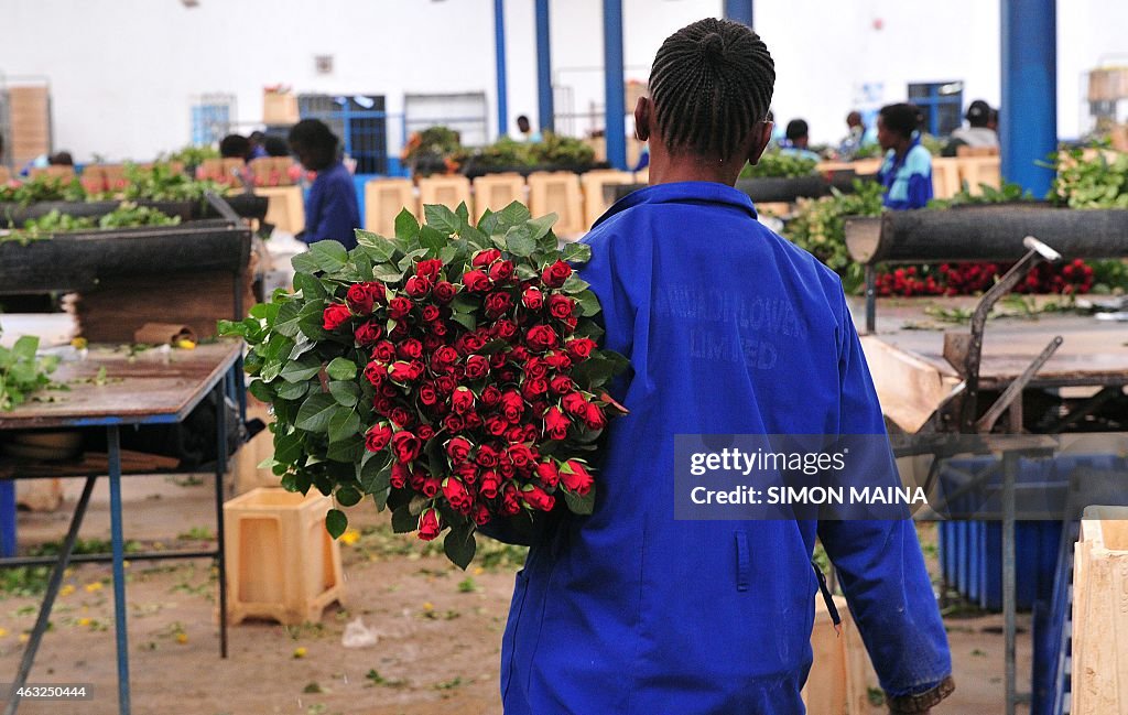 KENYA-ECONOMY-FLOWERS-VALENTINE