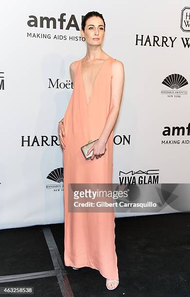 Model Erin O'Connor attends the 2015 amfAR New York Gala at Cipriani Wall Street on February 11, 2015 in New York City.