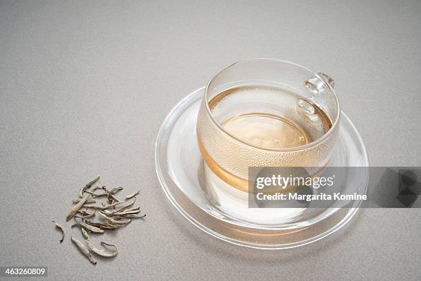 hot cup of silver needle tea - chá branco imagens e fotografias de stock