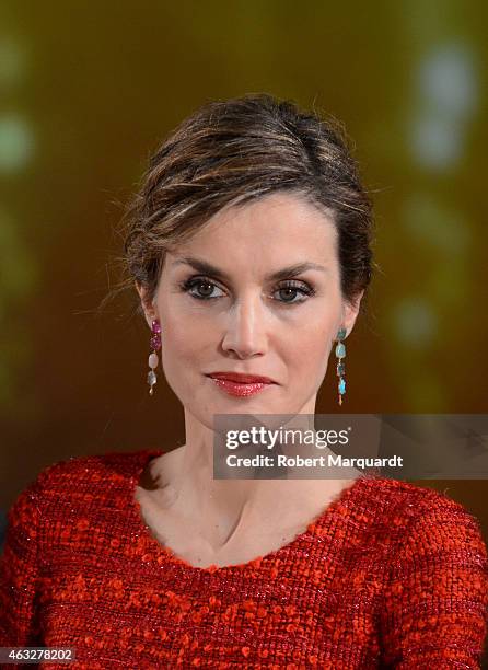 Queen Letizia of Spain visits the 'Freixenet' wine cellar on February 12, 2015 in Sant Sadurni d'Anoia, Spain. Freixenet celebrates it's 100th...