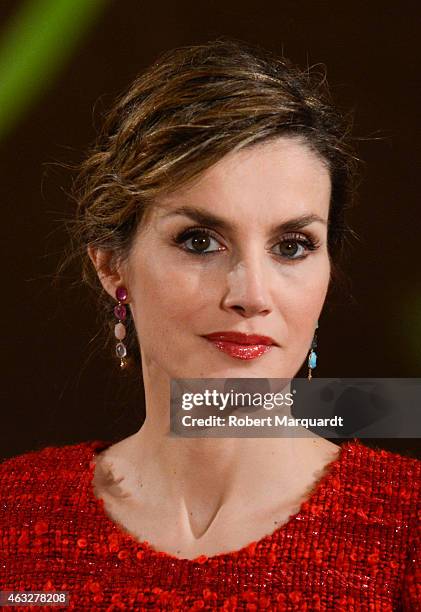 Queen Letizia of Spain visits the 'Freixenet' wine cellar on February 12, 2015 in Sant Sadurni d'Anoia, Spain. Freixenet celebrates it's 100th...