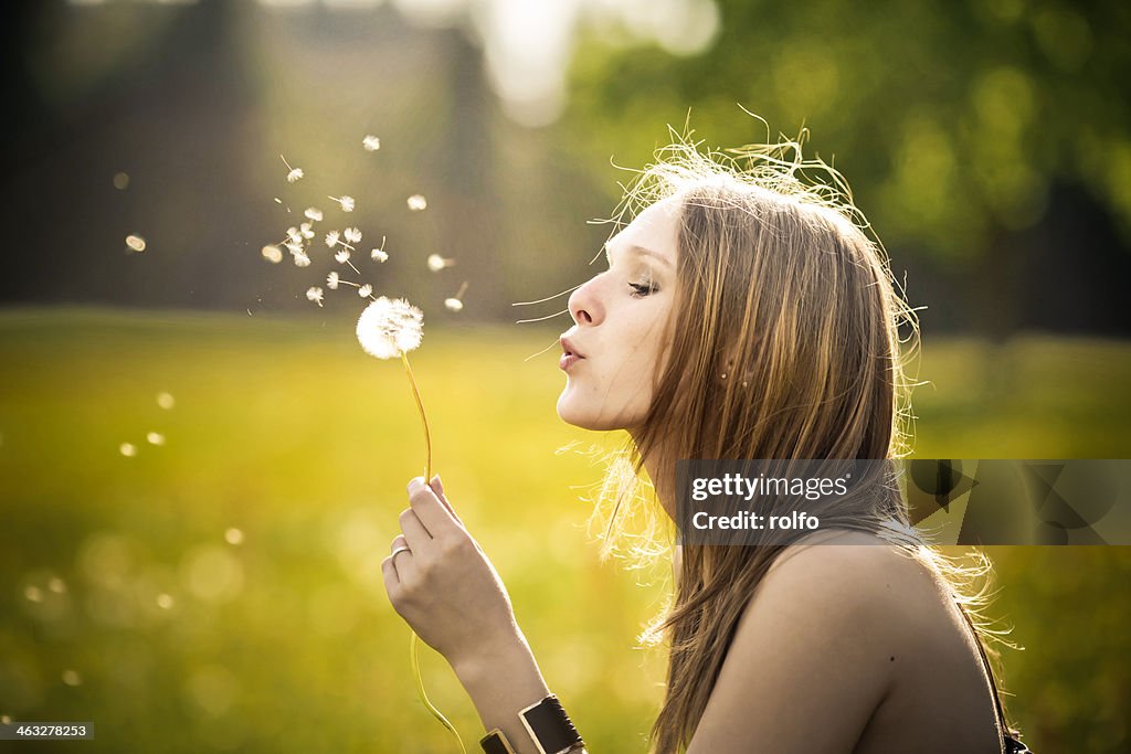 Dandelion blow ball