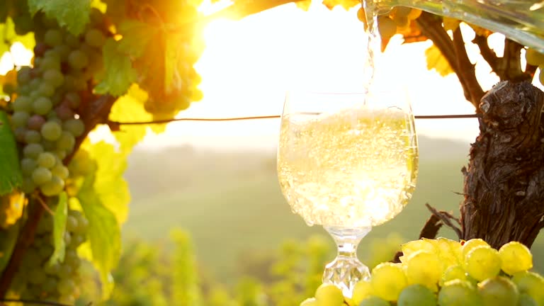 Springield Wines Pouring 381 Pouring Wine Vineyard Stock Videos, Footage, & 4K Video Clips ...