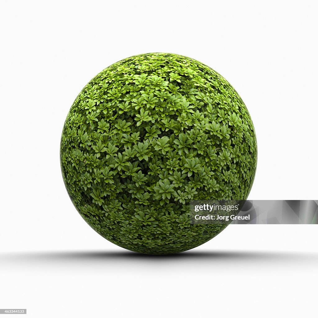 Ball of leaves