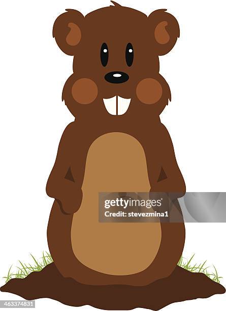 groundhog day - groundhog day stock illustrations