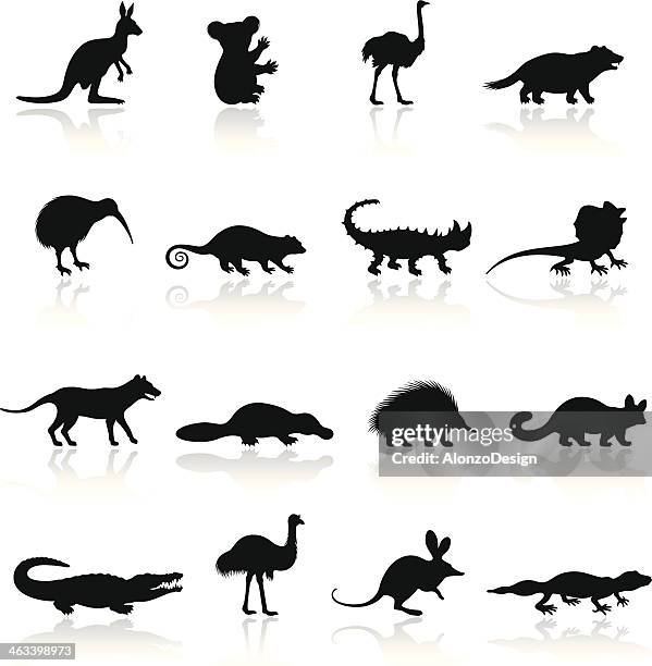 australische tier icon-set - echte krokodile stock-grafiken, -clipart, -cartoons und -symbole