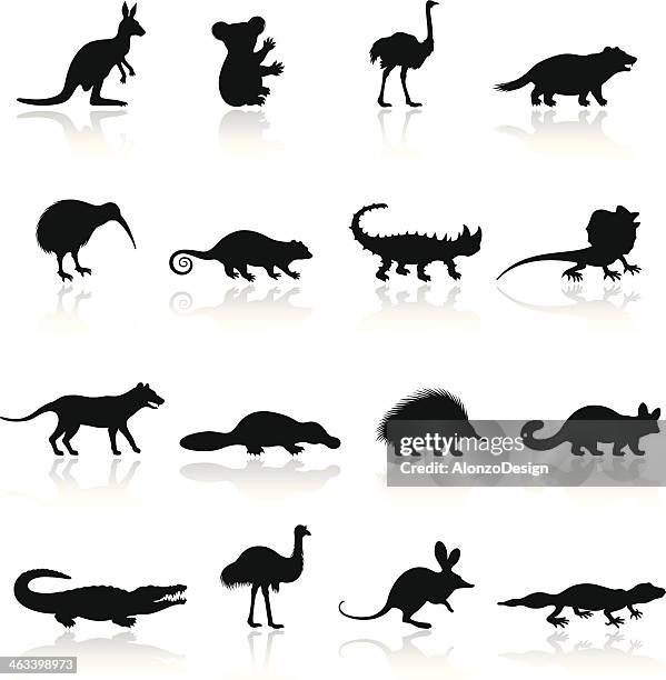 ilustraciones, imágenes clip art, dibujos animados e iconos de stock de australian animal icon set - cultura australiana
