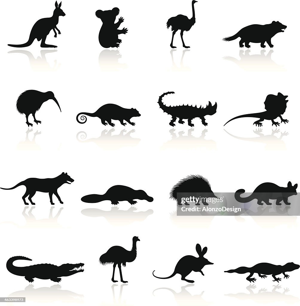 Australian Animal Icon Set