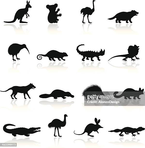 australian animal icon set - crocodile 幅插畫檔、美工圖案、卡通及圖標