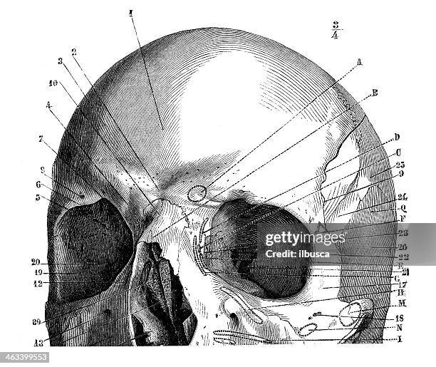 Iabeled Labeled Books Photos and Premium High Res Pictures - Getty Images