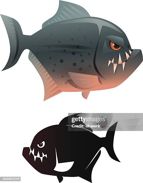 illustrations, cliparts, dessins animés et icônes de poisson printangry - cypriniforme