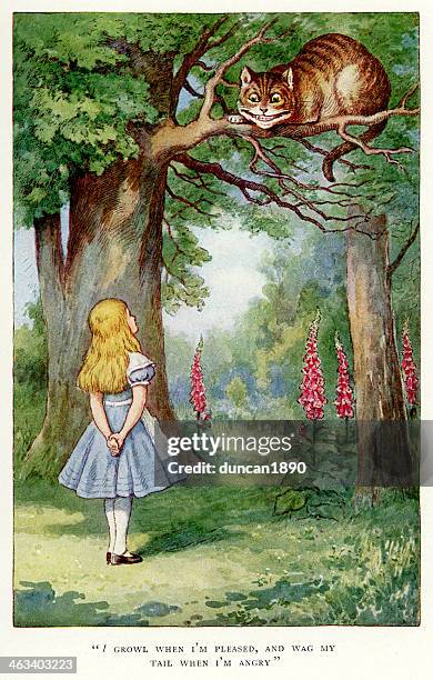 stockillustraties, clipart, cartoons en iconen met alice and the cheshire cat - alice in wonderland