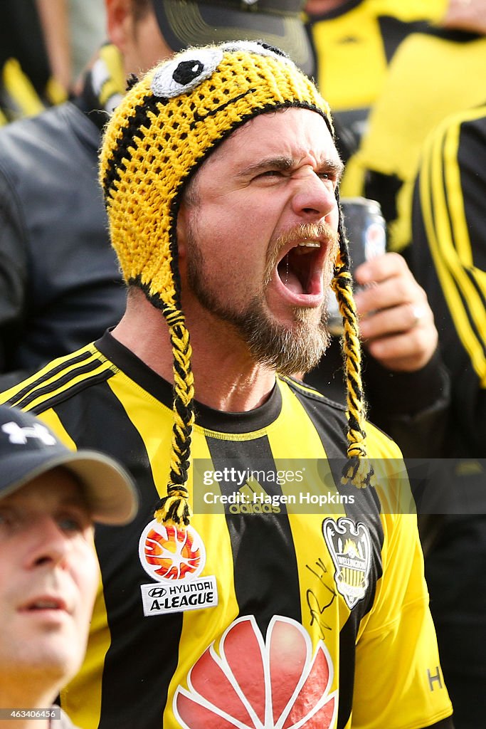 A-League Rd 17 - Wellington v Melbourne