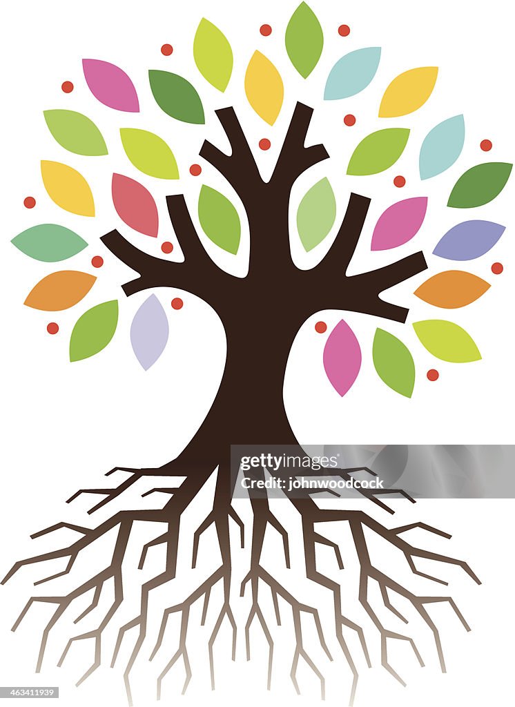 Colourful Tree Roots High-Res Vector Graphic - Getty Images