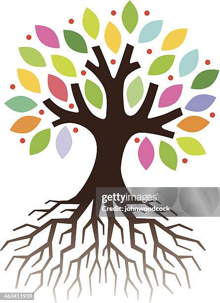 Colorful Tree With Roots Photos and Premium High Res Pictures - Getty ...