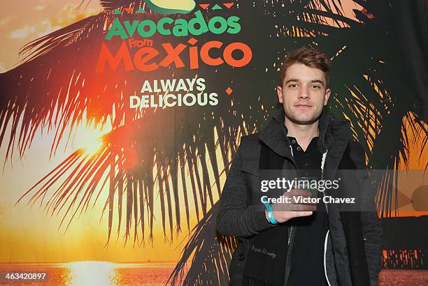 Chase Williamson attends Avocados From Mexico Film Festival Suite on January 17, 2014 in Park City, Utah.