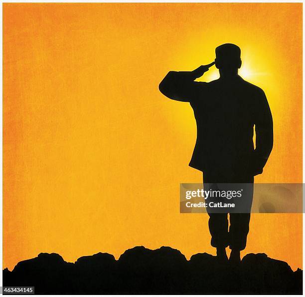 military salute - armed forces day stock illustrations
