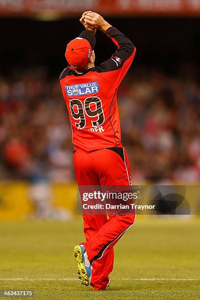 Ben Rohrer 68 Michael Rohrer Stock Photos, High-Res Pictures, and Images - Getty ...