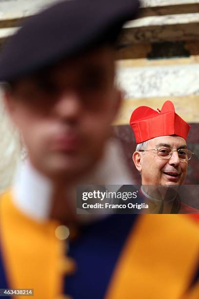 Newly appointed cardinal French Archbishop Dominique Mamberti poses during the courtesy visits in the Apostolic Palace on February 14, 2015 in...
