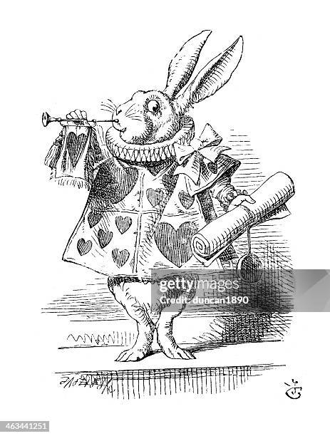 alice in wonderland - the white rabbit - alice in wonderland fictional character stock illustrations