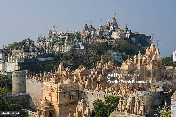 The sacred site of Shatrunjaya contains more than 850 temples on top of a hill and is one of the major pilgrim sites for Jains.