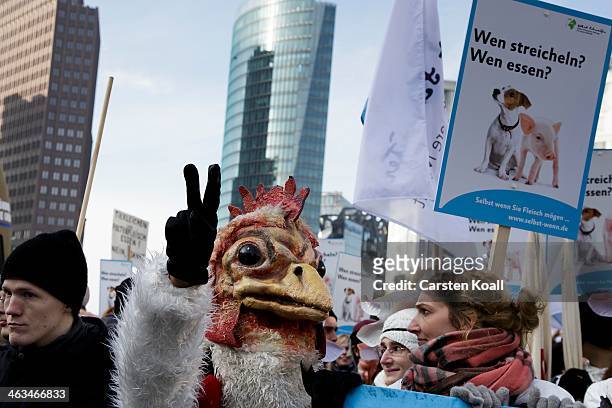 Protester wears a chicken mask during a protest on January 18, 2014 in Berlin, Germany.Several thousand demonstrators attended the march in protest...