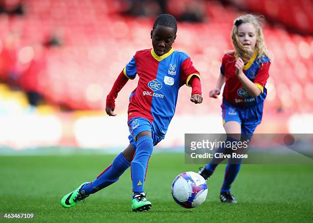 Crystal Palace mascots warm up prior to the Barclays Premier League match between Crystal Palace and Stoke City at Selhurst Park on January 18, 2014...