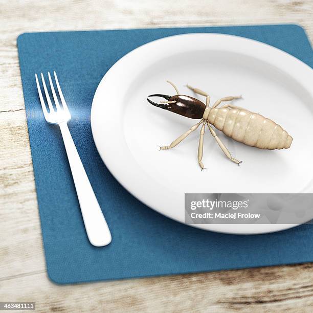 big termite on plate - termites stock illustrations