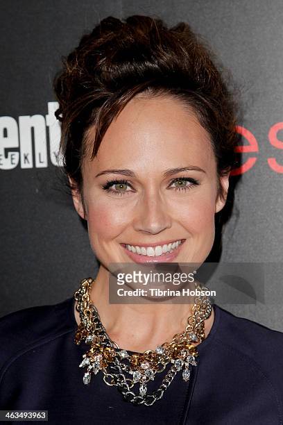 Nikki DeLoach attends the Entertainment Weekly SAG Awards pre-party at Chateau Marmont on January 17, 2014 in Los Angeles, California.