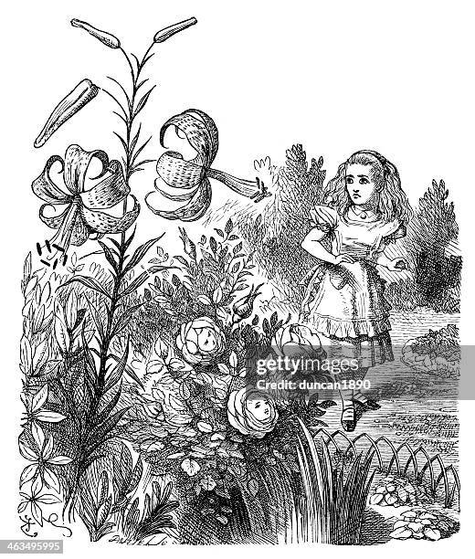 alice through the looking glass - alice in wonderland garden stock illustrations