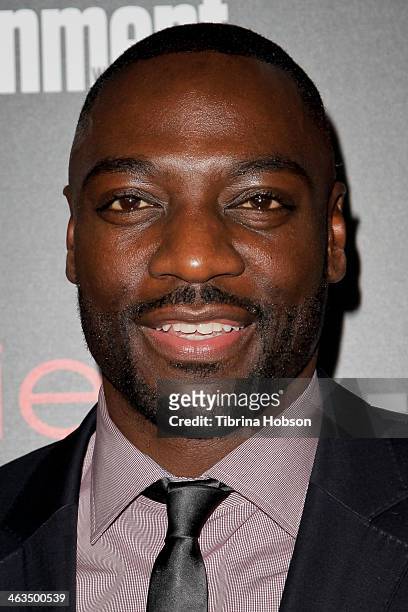 Adewale Akinnuoye-Agbaje attends the Entertainment Weekly SAG Awards pre-party at Chateau Marmont on January 17, 2014 in Los Angeles, California.