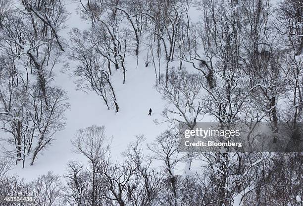 Man stands on a slope at the Niseko Hanazono resort, operated by Nihon Harmony Resorts KK, in Kutchan, Hokkaido, Japan, on Sunday, Feb. 15, 2015. The...