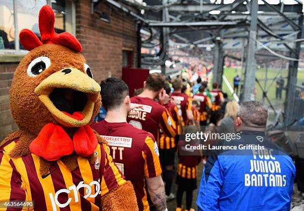 The Bradford mascot lines up with the team prior to the FA Cup Fifth Round match between Bradford City and Sunderland at Coral Windows Stadium,...