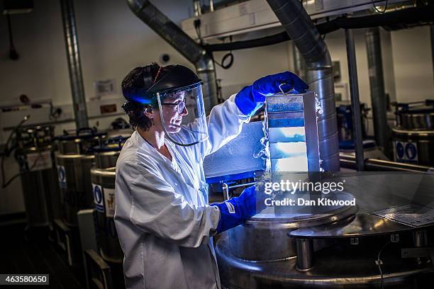 Scientist lowers biological samples into a liquid nitrogen storage tank at the Cancer Research UK Cambridge Institute on December 9, 2014 in...