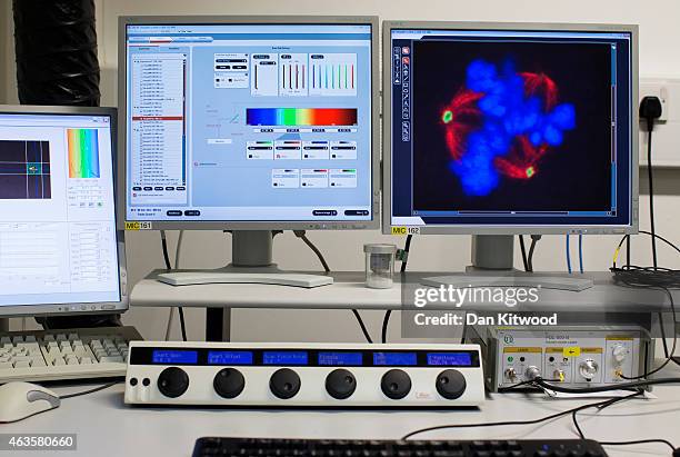 Image of cells through a confocal microscope at the Cancer Research UK Cambridge Institute on December 9, 2014 in Cambridge, England. Confocal...