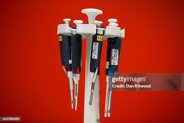 Pipettes hang from a stand, used every day by scientists in the laboratory to accurately take up and dispense small volumes of liquid, at the Cancer...