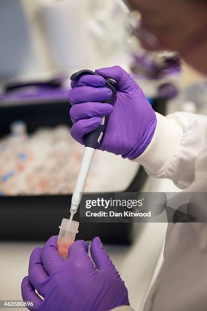 Scientist uses a pipette to add a precise volume of liquid to a vial at the Cancer Research UK Cambridge Institute on December 9, 2014 in Cambridge,...