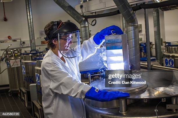 Scientist lowers biological samples into a liquid nitrogen storage tank at the Cancer Research UK Cambridge Institute on December 9, 2014 in...