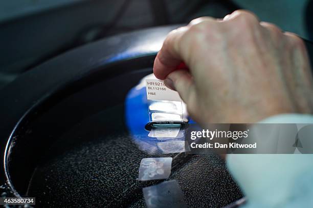 Scientist uses a warm water bath to help stick thin tissue sections to microscope slides for analysis, at the Cancer Research UK Cambridge Institute...